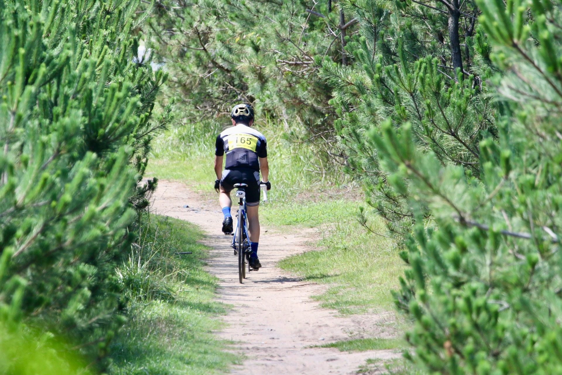 自転車イベントの情報